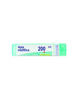 APIS MELLIFICA 200CH GR