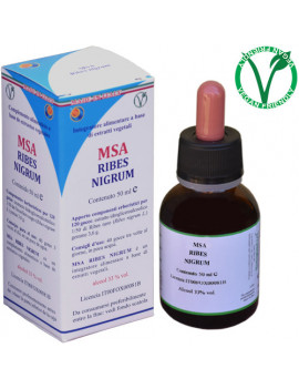 MSA RIBES NIGRUM 50ML