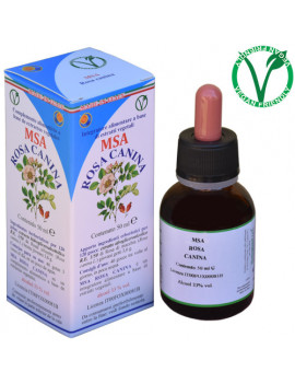 MSA ROSA CANINA 50ML