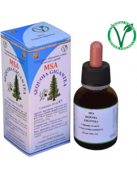 MSA SEQUOIA GIGANTEA 50ML