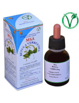 MSA BETULA VERRUCOSA 50ML