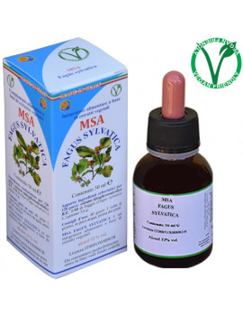 MSA FAGUS SYLVATICA 50ML