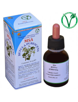 MSA BETULA PUBESCENS 50ML